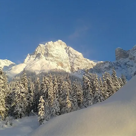 شقة Haus Breithornblick ماريا ألم ام شتاينر
